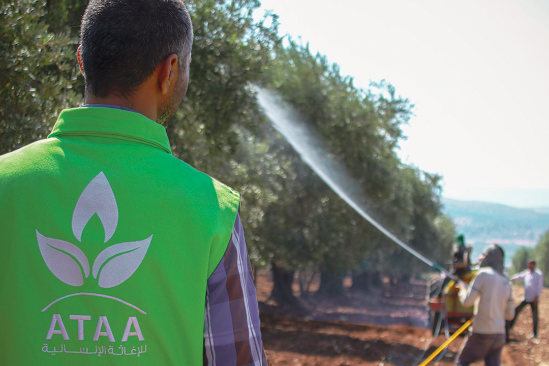 ATAA launches the value support project for the Olive Chain for the year 2020