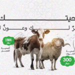 حملة الأضاحي 2025
